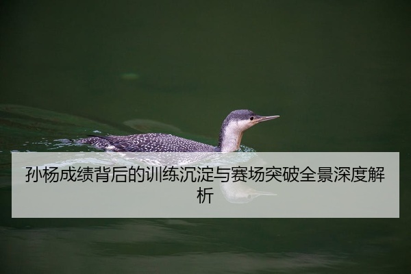 孙杨成绩背后的训练沉淀与赛场突破全景深度解析