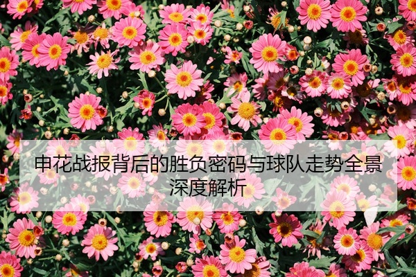 申花战报背后的胜负密码与球队走势全景深度解析